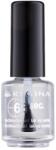 Regina Nails 66 Sec. lac de unghii cu uscare rapida culoare 1 8 ml