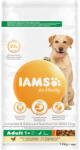 Iams 2x12kg IAMS for Vitality Dog Adult Large csirke száraz kutyatáp