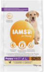 Iams 12kg IAMS for Vitality Dog Puppy & Junior Large csirke száraz kutyatáp
