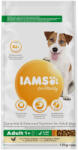 Iams 2x12kg IAMS for Vitality Dog Adult Small & Medium csirke száraz kutyatáp