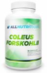 ALLNUTRITION Adapto Coleus Forskohlii kapszula 90 db