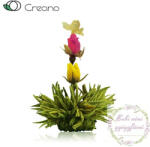 Creano virágzó 1 fehér teagolyó - kancsó méret