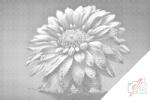  PontPöttyöző - Szivárványos virág Méret: 40x60cm, Keretezés: Keret nélkül (csak a vászon), Szín: Piros