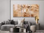 Festés számok szerint - Vadászó macska (3 db-os készlet) Méret: 40x60cm (3db), Keretezés: Keret nélkül (csak a vászon)