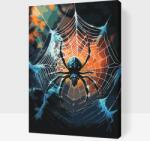  Festés számok szerint - Pók a pókhálóban Méret: 40x60cm, Keretezés: Keret nélkül (csak a vászon)