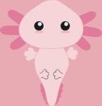  Festés számok szerint - Axolotl 2 Méret: 50x50cm, Keretezés: Keret nélkül (csak a vászon)