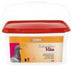  VL Pigeons Vita - vitaminok és ásványi anyagok 4 kg