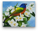 Számfestő Színes madárka virágon - előszínezett számfestő készlet (30x40cm) (R43115-128-1)