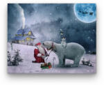 Számfestő Mikulás jegesmedvéi- számfestő készlet (xmas012frameKF70x100)