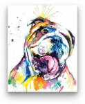 Számfestő Bulldog - számfestő készlet (dogs010)