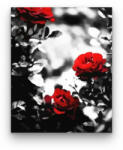 Számfestő Piros-szürke rózsák - számfestő készlet (crea587)
