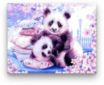 Számfestő Aranyos pandák - számfestő készlet (crea426)