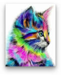 Számfestő Színes cica - számfestő készlet (crea094)