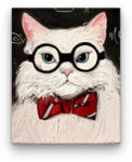 Számfestő A Szemüveges Macska - számfestő készlet (cats022)