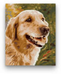 Számfestő Gyönyörű kutya - számfestő készlet (crea184)