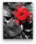  Szürke-piros rózsa - számfestő készlet