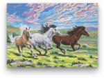  Vágtató Lovak - számfestő készlet