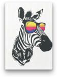  Zebra Napszemüvegben - számfestő készlet