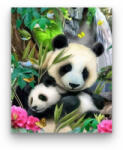 Számfestő Pandák 2 - számfestő készlet (crea155)