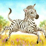 Számfestő Aranyos Zebra Kölyök - gyémántszemes kirakó (I15431)
