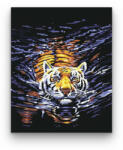  Úszó tigris - számfestő készlet
