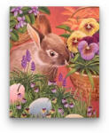 Számfestő Cuki Nyuszmusz - húsvéti számfestő készlet