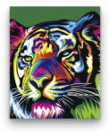  Szivárvány tigris - számfestő készlet