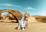 Komar / Consalnet Star Wars Lost Droids - 8 részes papír poszter, Komar 8-484, 368 x 254 cm