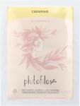Phitofilos Tiszta borbolya por - 50 g
