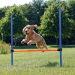 TRIXIE Obstacol Pentru Caini, Fun Agility, Plastic, 123x115 cm, 3207t