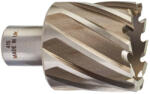 Milwaukee 4932371750 Burghiu