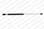 RINGER Amortizor portbagaj RINGER 1510053026 (1510053026)
