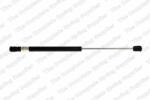 RINGER Amortizor portbagaj RINGER 1510053005 (1510053005)