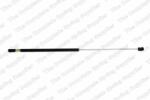RINGER Amortizor capota RINGER 1510053020 (1510053020)