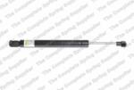 RINGER Amortizor portbagaj RINGER 1510053042 (1510053042)