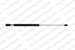 RINGER Amortizor portbagaj RINGER 1510053041 (1510053041)
