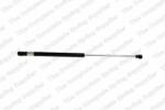 RINGER Amortizor portbagaj RINGER 1510053800 (1510053800)