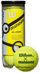 Wilson Junior teniszlabda Wilson Minions Stage 1 3B - green