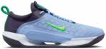 Nike Férfi cipők Nike Zoom Court NXT Clay - cobalt bliss/gridiron/stadium green/green strike