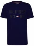Tommy Hilfiger Graphic S/S Training Tee - desert sky - Kék