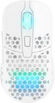 Xtrfy M42 RGB WL White (M42W-RGB-WHITE) Mouse
