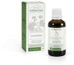 Györgytea Galagonya virágzó ágvég alkoholos kivonat 50 ml