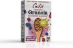 Avena GoFit gluténmentes granola áfonyás 250 g - vital-max