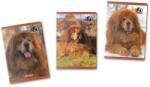 Herlitz Caiet A5, 48 file, matematica, Boss Phantom, 10 buc/set, Herlitz PCKHZ9488480