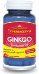 Herbagetica S. R. L Ginkgo + Curcumin95, 30 capsule, Herbagetica