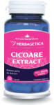 Herbagetica S. R. L Cicoare Extract, 30 capsule, Herbagetica