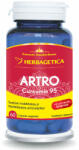 Herbagetica S. R. L Artro + Curcumin 95, 60 capsule, Herbagetica