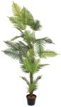  EUROPALMS Areca palm, artificial plant, 180cm (82509415)