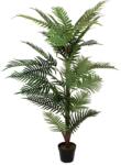  EUROPALMS Areca palm, artificial plant, 150cm (82509414)