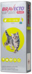 Bravecto Plus Spot-on Cat 112.5 mg (1.2-2.8 kg)